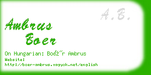 ambrus boer business card